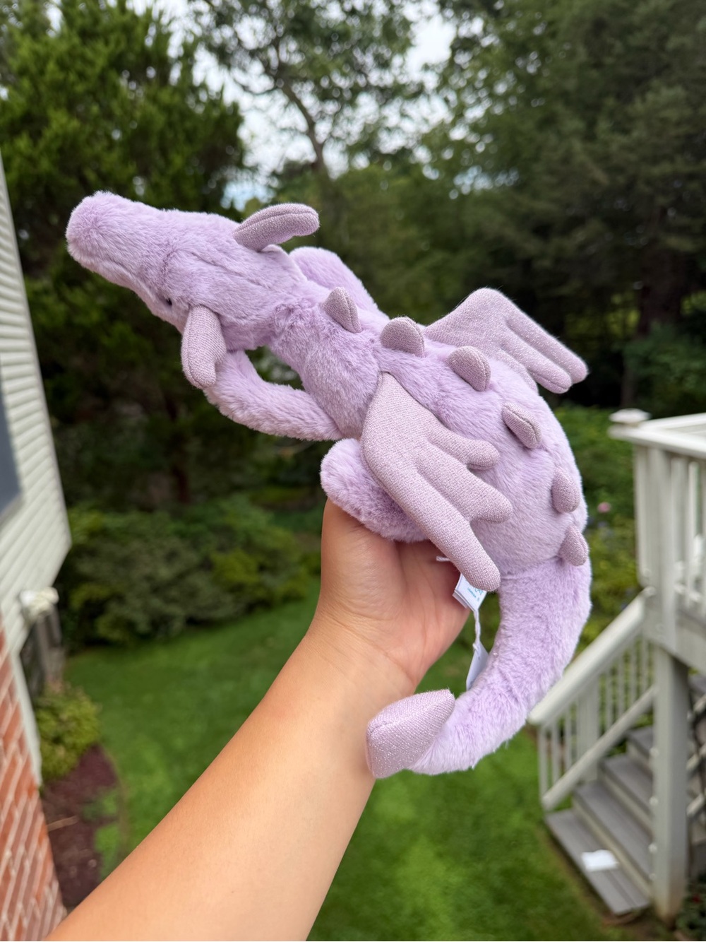 Lavender Dragon size little